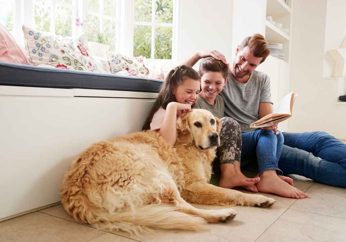 Family, dog, reading together.