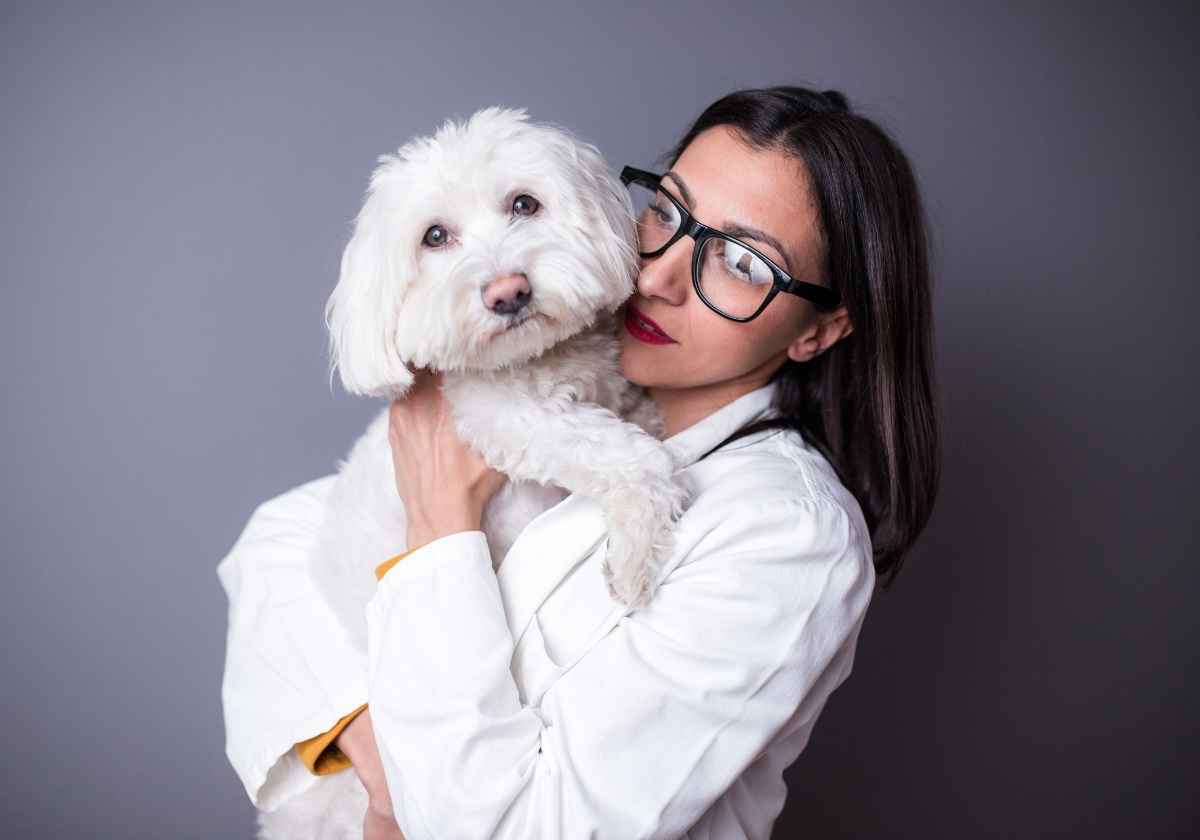 Vet with white fluffy dog.