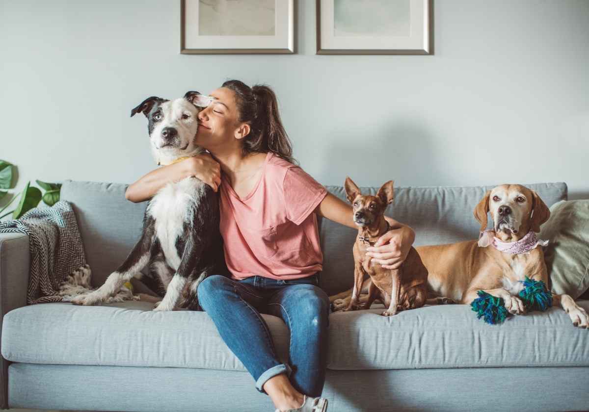 Woman cuddling three dogs couch.