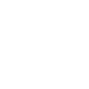 cash icon