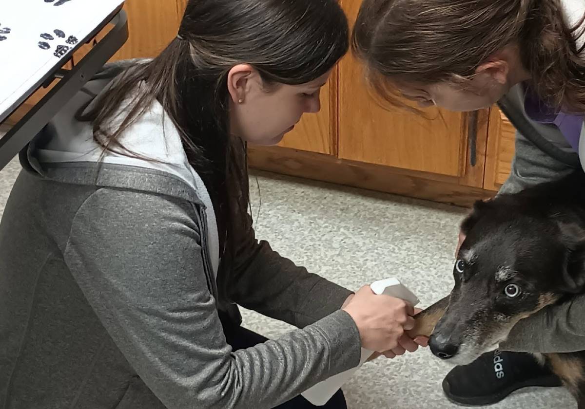 Women clean dog's paw.